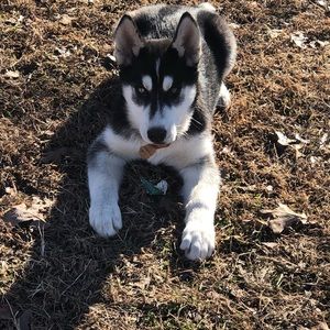 Meet your Posher, Gerardo